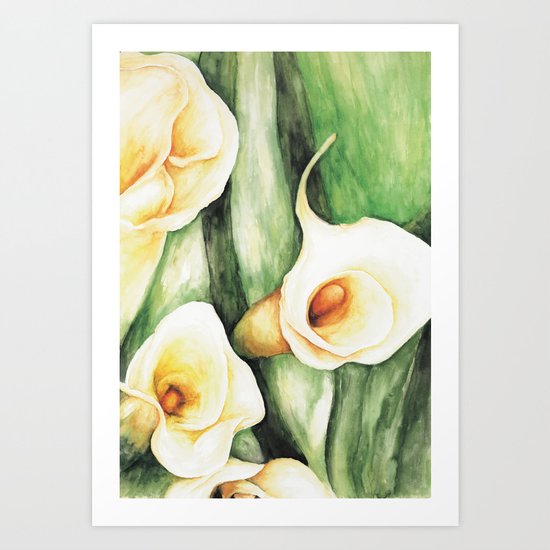 Calla Lilies Art Print