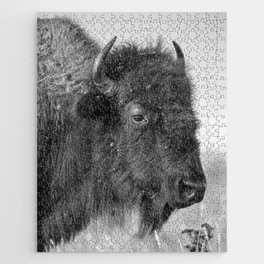 Profile of a Bison - Black and White Portrait of Buffalo on the Tallgrass Prairie in Oklahoma Jigsaw Puzzle