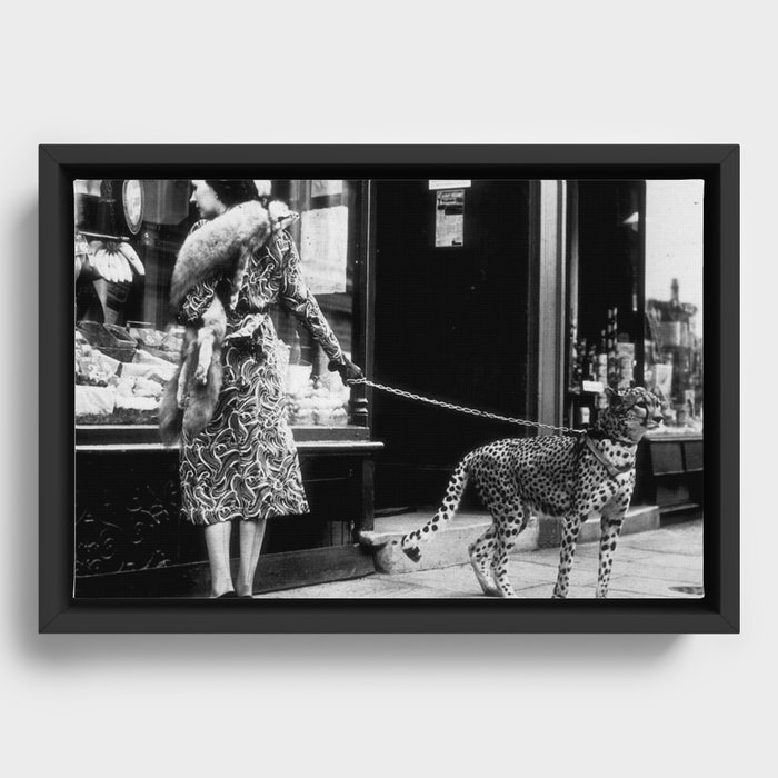 Framed Canvas