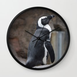 National Aviary - Pittsburgh - African Penguin 2 Wall Clock | Animal, Nature, Photo 