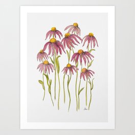 Wild Echinacea Blooms Art Print
