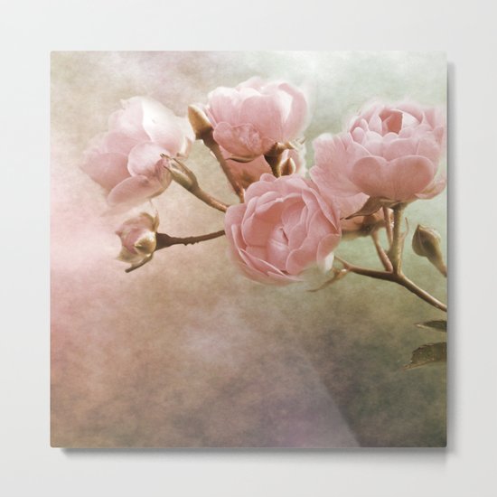 roses Metal Print
