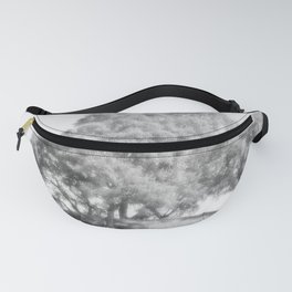 We Three Birch Trees of the Scottish Highlands Fanny Pack