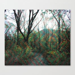 Into the Forest Canvas Print