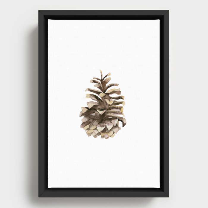 Pine cone. Framed Canvas
