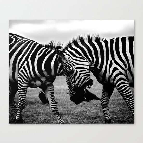 Let's Fight! // Wildlife Zebra Black Adn White Photography #society6 #art #prints Canvas Print