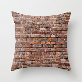 Brick Wall Throw Pillow