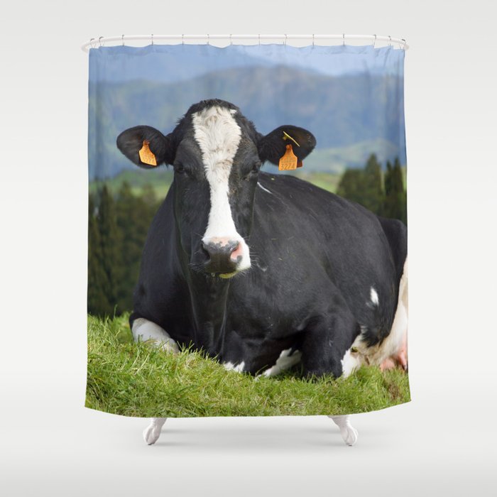 cow shower curtain