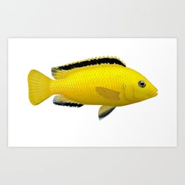 Malawi Art Prints For Any Decor Style Society6