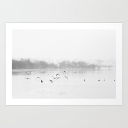 Flying geese over the water Art Print