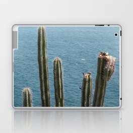 Mexico Photography - Cactuses At The Coast Of Mexico Laptop Skin