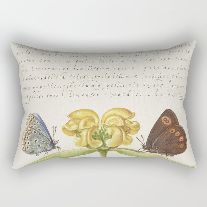 Vintage calligraphic poster beans and butterflies Rectangular Pillow