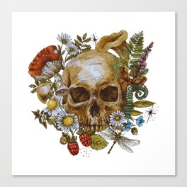 Vintage Floral Skull  Canvas Print