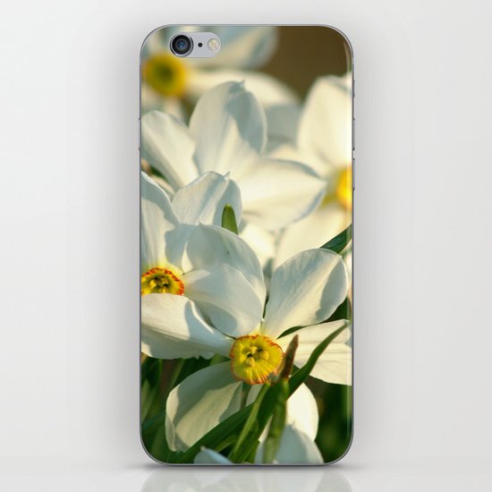 Cascade iPhone & iPod Skin