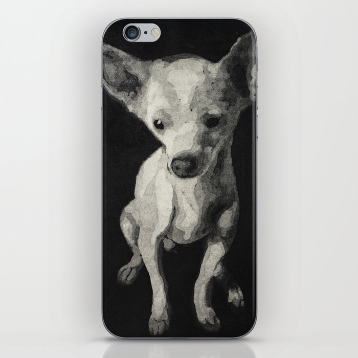 Chihuahua dog  iPhone Skin