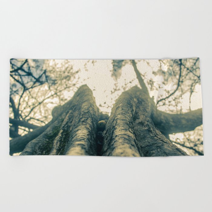 Up in the Trees Beach Towel