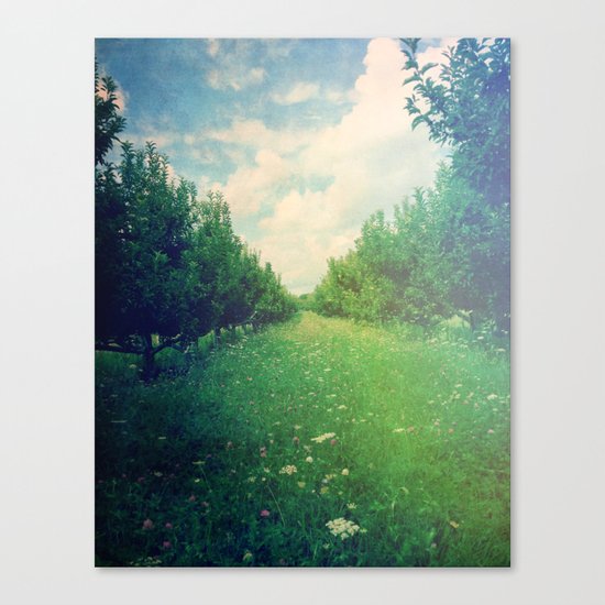 Apple Orchard in Spring Canvas Print