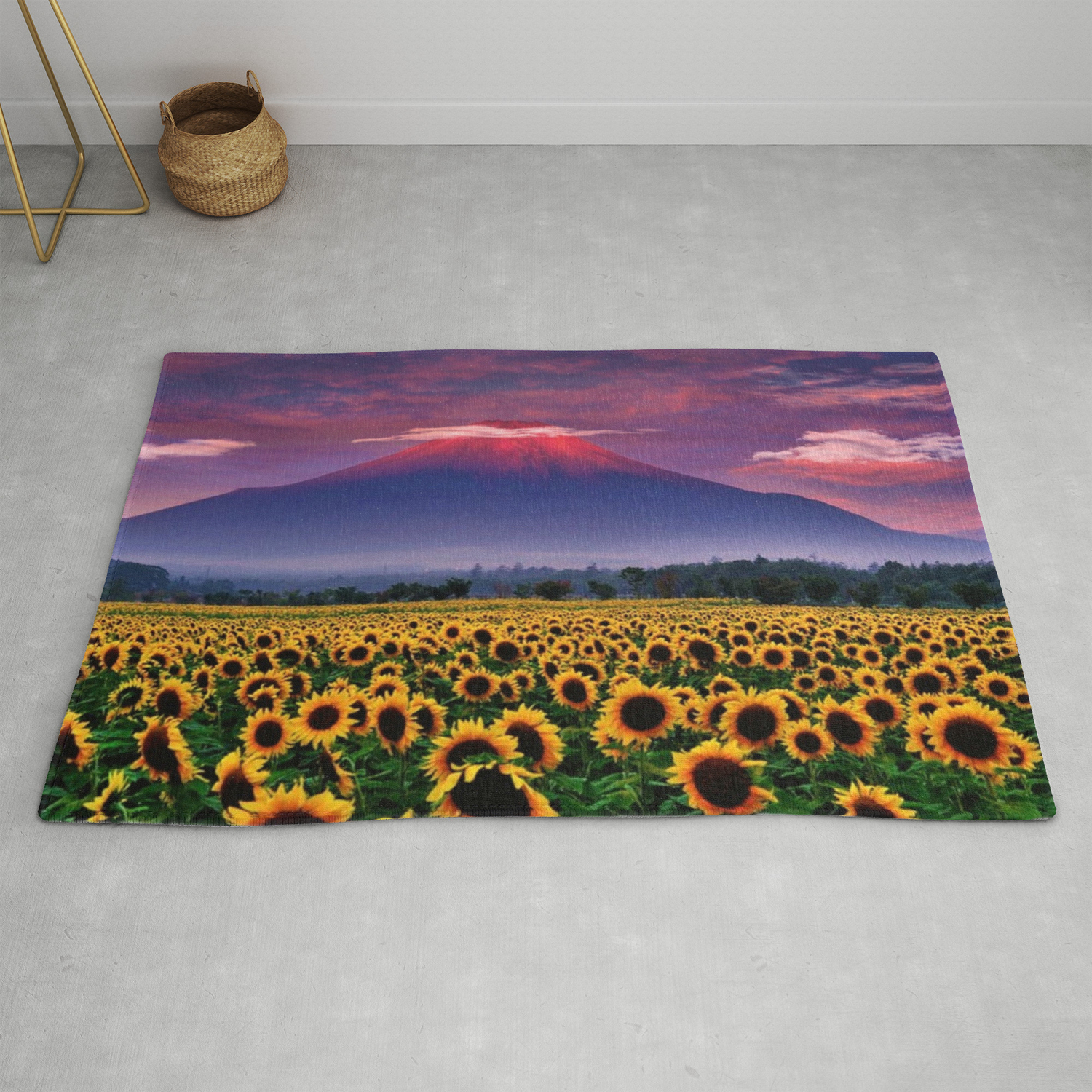 Sunflowers Sunflower Fields At Mount Fuji Japan At Sunset