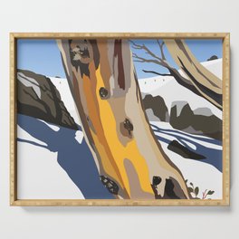 Snowy Gumtree On The Ski Slopes Serving Tray