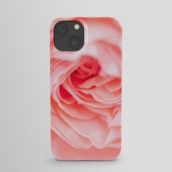 macro shot of beautiful pink rose flower iPhone Case