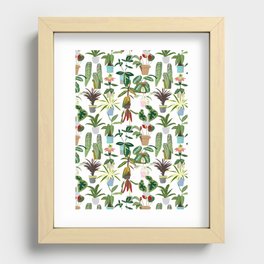 House Plant Recessed Framed Print