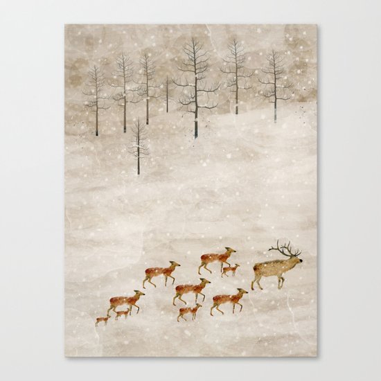 a new home for winter Canvas Print