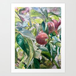 Peaches Art Print