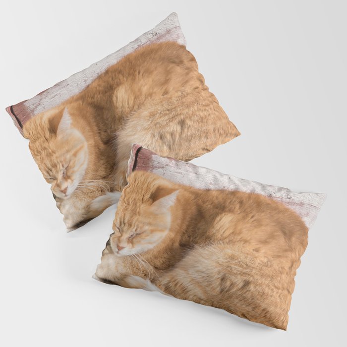 Cute Cat in Anafiotika Athens #1 #wall #art #society6 Pillow Sham