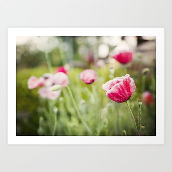 Pink Ladies Art Print