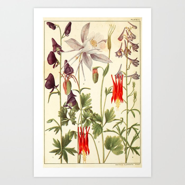 Art Print