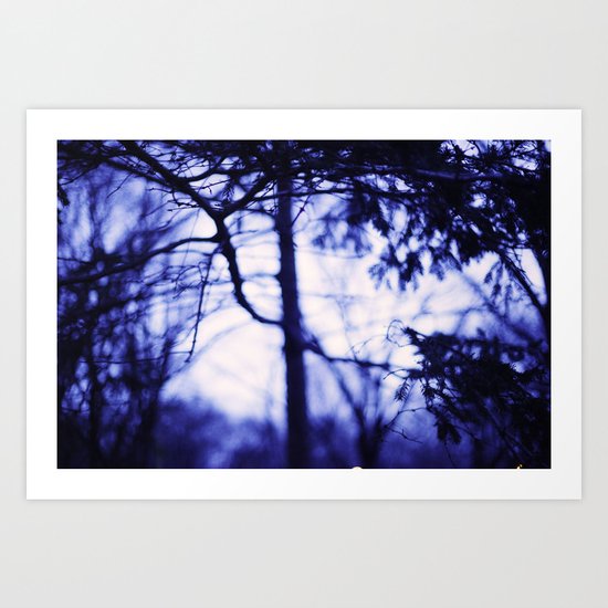 Central Park Art Print