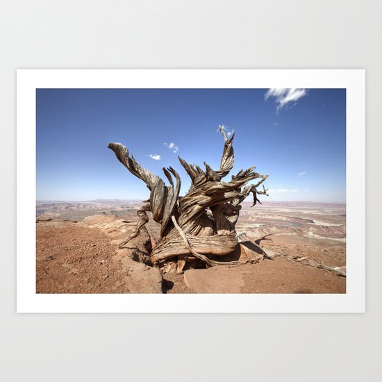 Weathered Art Print