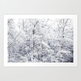 Winter is here - Snowy Birches Winter Scene #decor #society6 #buyart Art Print