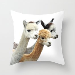 Alpaca Trio Throw Pillow