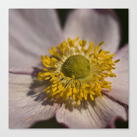 Close In Canvas Print