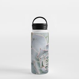 Mexico Photography - The Echeveria Lilacina Plant Water Bottle