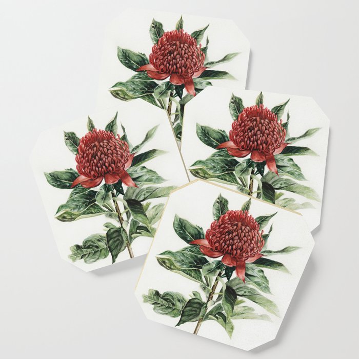 Waratah Flower Coaster By Shealeenlouise Society6