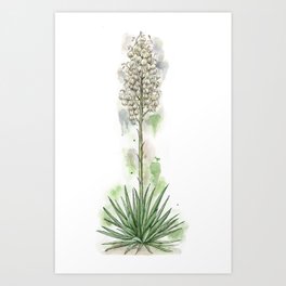 Botanical Yucca Art Print
