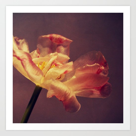 luce Art Print
