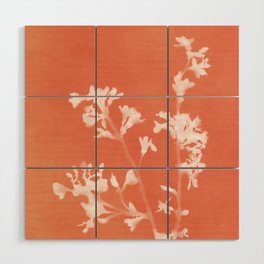 Monograph, Orange Flowers Wood Wall Art