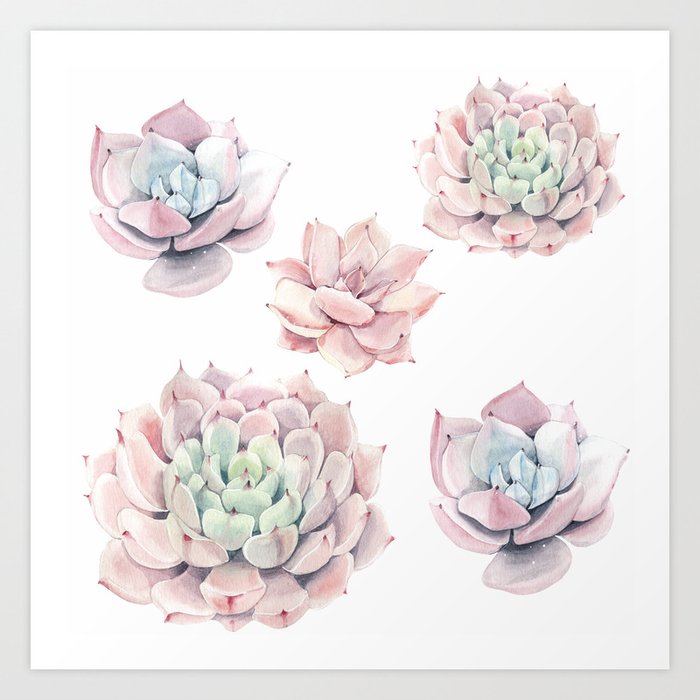 Pink Succulents Art Print