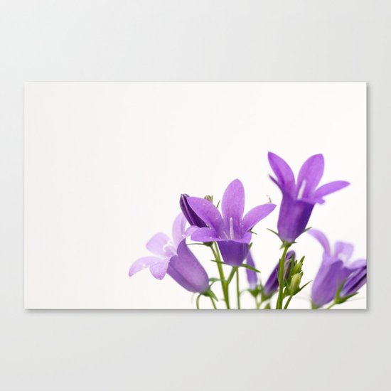 PURPLE FLOWERS - Bellflowers #2 #decor #art #society6 Canvas Print