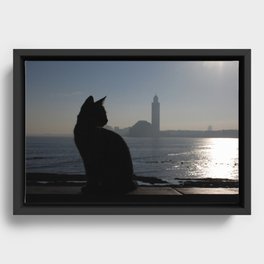 Cat looking over mosque Hassan II Framed Canvas