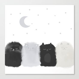 Sleep like Cats Canvas Print