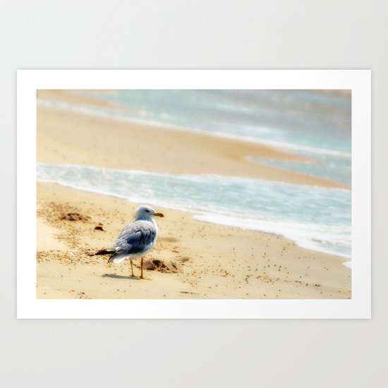 Lonely gull of summer. Art Print