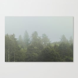Coastal Fog Canvas Print