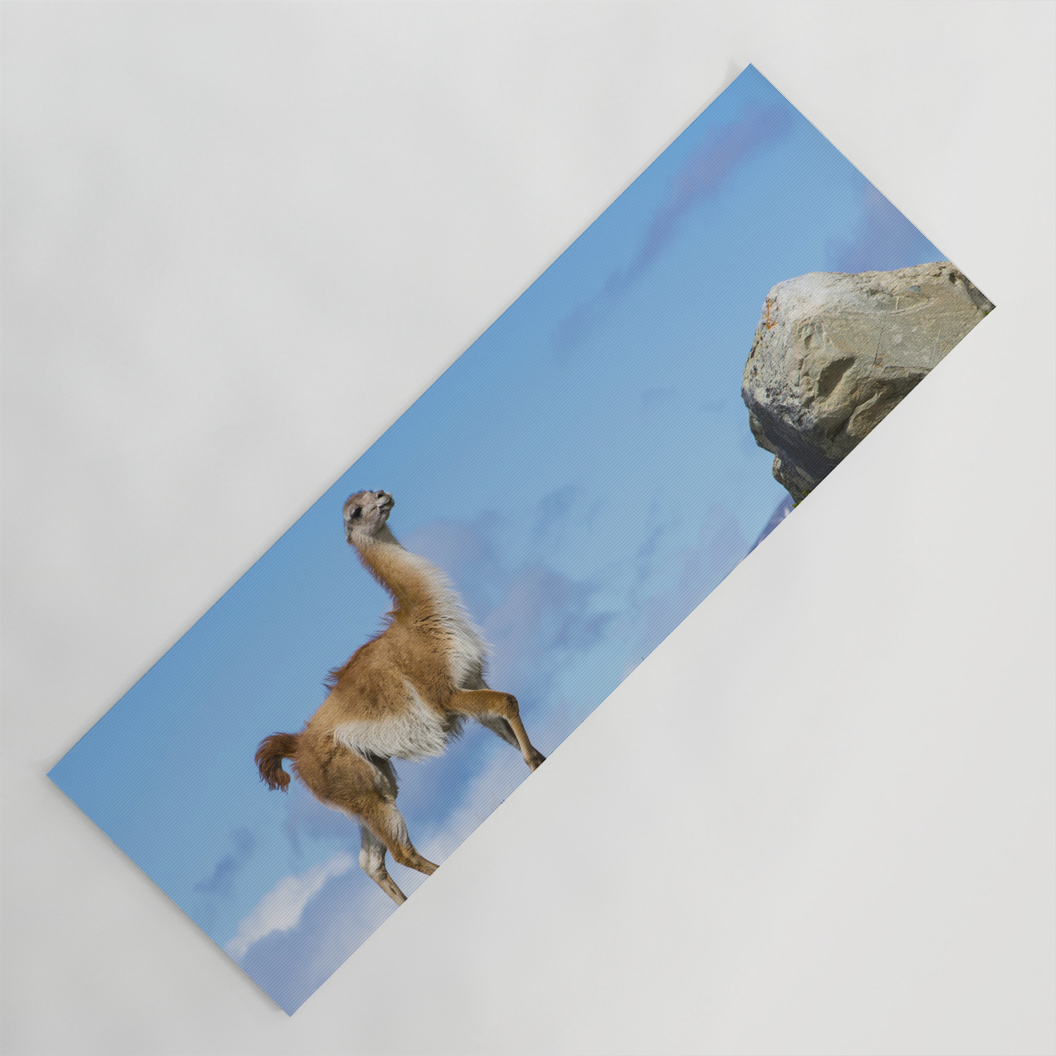 A Guanaco In Patagonia Chile Yoga Mat By Davehare Society6