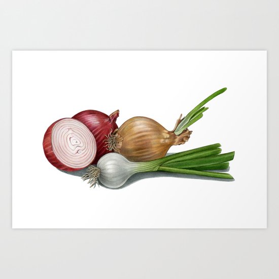 onions Art Print