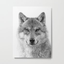Wolf Portrait Metal Print