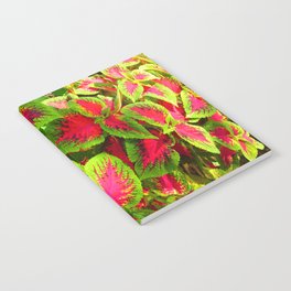 Pink Green Coleus Tropical Notebook